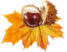 Brune Medizintechnik
